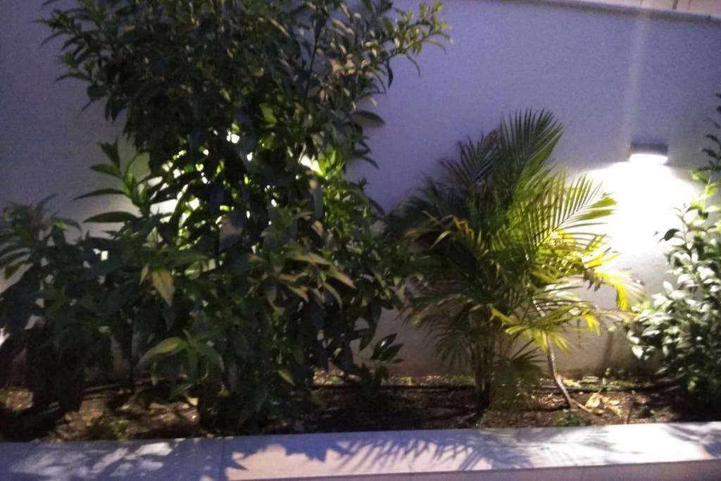 カラマタArxontia 1アパートメント エクステリア 写真