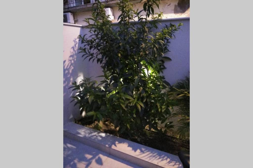 カラマタArxontia 1アパートメント エクステリア 写真